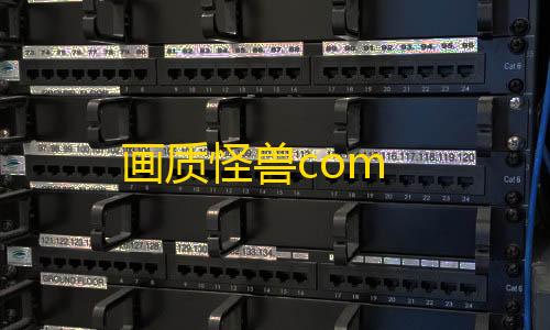 三角洲数据号发卡网画质怪兽com